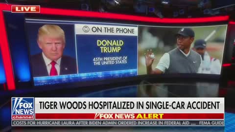 Fox News Donald Trump on Tiger Woods