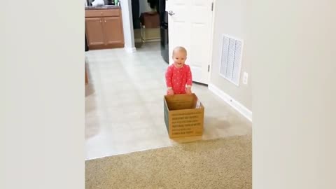 This baby is so happy to walk this the box but... 😂