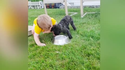 Cute Dogs and Babies videos click to watch 🐶💖👶