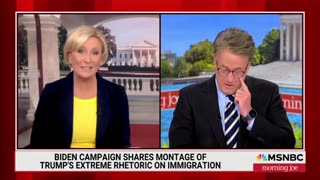 MSNBC Propaganda Gets 'Uncomfortable' When Mika Brings Up Genitals