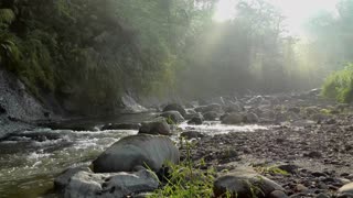 River between the Stones- Nature Relax- Sound of Nature/ Rio entre pedras da floresta- Relaxar