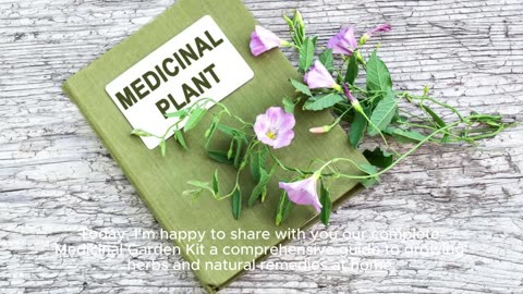 Medicinal Garden Kit – Pharmacy in Your Backyard