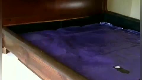 Setting up a waterbed in 7 seconds. Won't take much time for you to watch it.