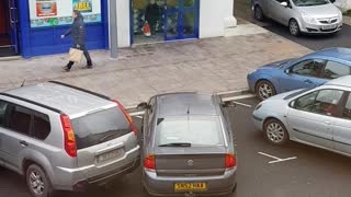 This Driver Deserves A Medal For Terrible Parking Skills