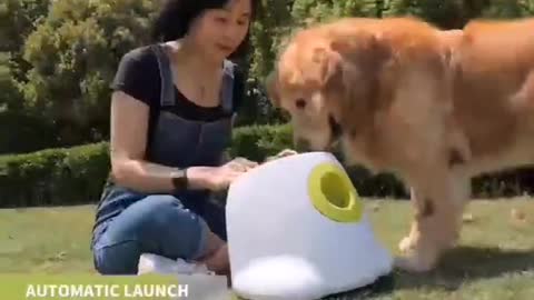 Dog is playing with premium pet ball launcher toy