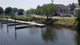 Huge School of Fish Stuck in Shallow Water