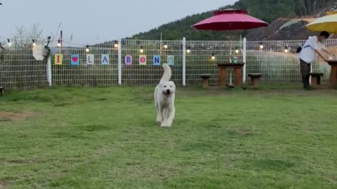 I like the playground the best