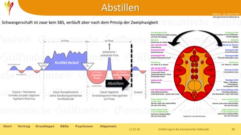 Die 5 biologischen Naturgesetze - Wie funktioniert mein Körper?