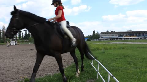 Equestrian sport. Girl and black horse on hippodrome