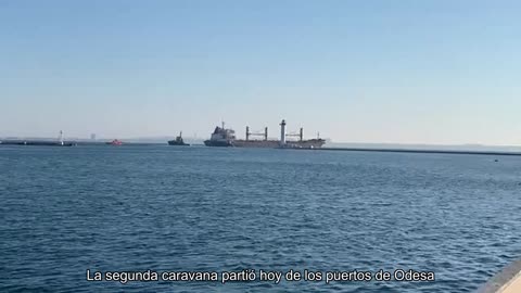 Una segunda caravana con grano ucraniano partió hoy de los puertos de Odessa.