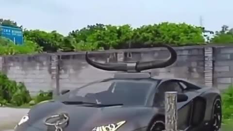 Lamborghini Buffalo 😂😂🤣🤣🐃🐃
