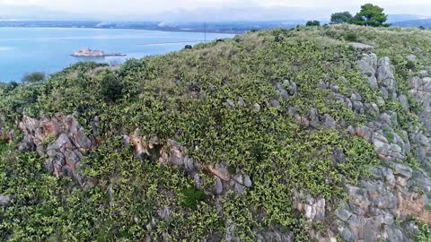 Drone view of picturesque Nafplio, Greece and its cactus forest