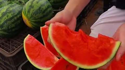 Cultivating Sumptuous Watermelons With Plastic Baskets!