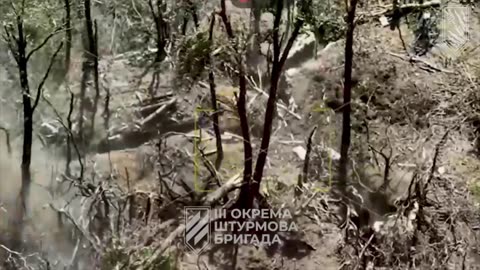 Shelling Russian Lines(Incredible Footage)