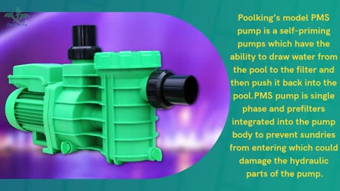 PMS series High Performance Pool Pump