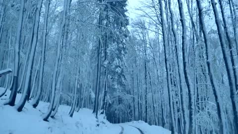 Snow and storm to sleep soundly in 5 minutes.