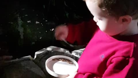 Little kid Arthur throw food to fishs