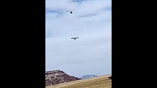 Airplane loaded on flatbed