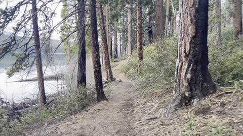 River Shoreline Wilderness Adventuring – Suttle Lake – Central Oregon