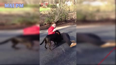 Emotional moment with dogs