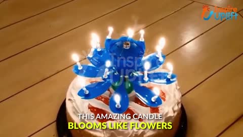 Blooming Musical Candle - Spinning Magic Birthday Lotus Flower That Opens