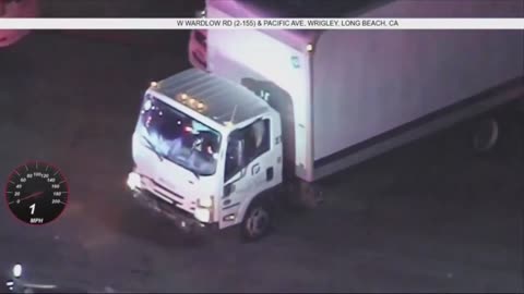 Crazy Box Truck Pursuit In Los Angeles With A K-9 Ending