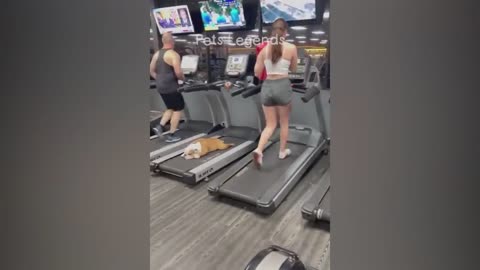 Girls workout and funny videos