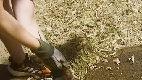Cute Armadillo Rescued From Hole