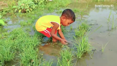 Amazing Hand Fishing Video | Traditional Boy Catching Fish By Hand in Pond Wate