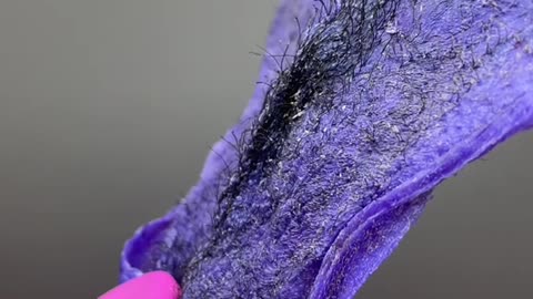 Understanding Wax Adhesion with Hypnotic Purple Seduction Hard Wax | dluxe beauty studio