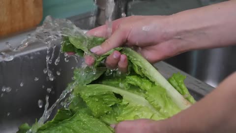 Washing a lettuce in the kitchen
