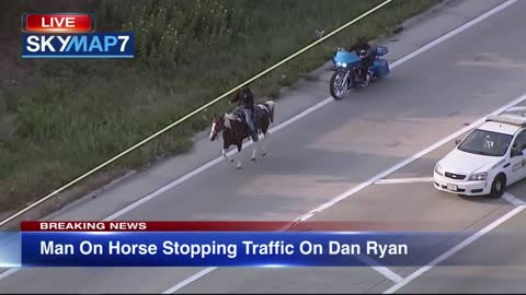 🚨🚔🤠Chicago Police👮‍♂️ Chase A Horse🐴 & Cowboy🤠 On The Highway👀🚨