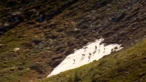 National Geographic - Arlberg Mountain - New Documentary HD 2018 Peter Pan