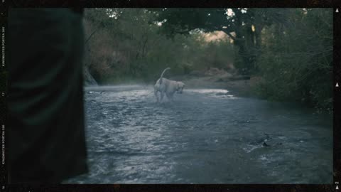 My dog ball catches in a cloud river water//cute dog ball catches In a river water