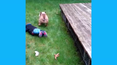 Funniest Baby Vines