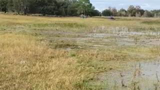 Airboat race