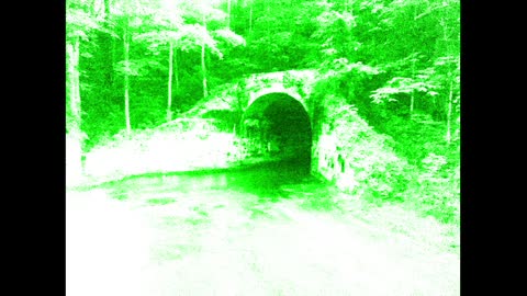 Using a Trail Camera at Sensabaugh Tunnel