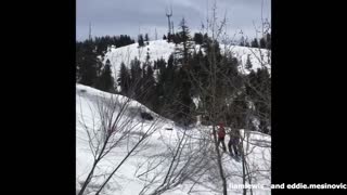 Gold black ski tree crash