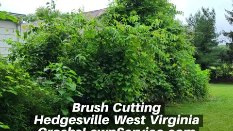 Brush Cutting Hedgesville West Virginia Landscape Contractor