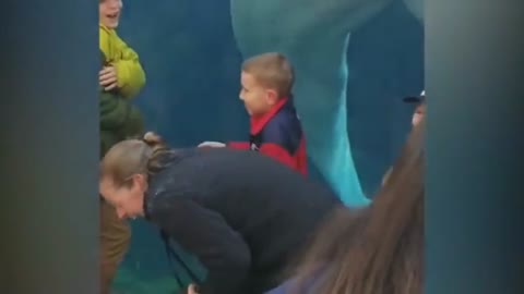 Funny fish zoo viral video kid's reaction