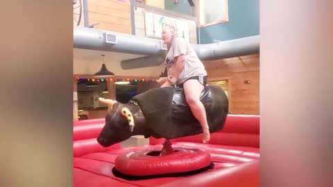 Baby Elephant On Bull | New Funny Video |