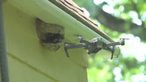 Danger lurks! Destroy the wasp nest in front of the house with a drone