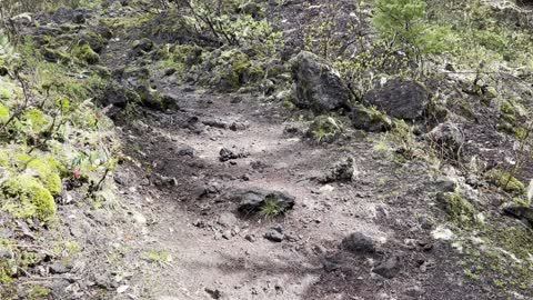 The Volcanic Shoreline of Clear Lake Loop – Central Oregon – 4K