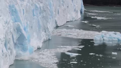 Is Polar Ice Melting? We asked a NASA Expert