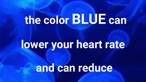 Color Facts - Blue