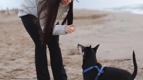 Girl gives training to her dog