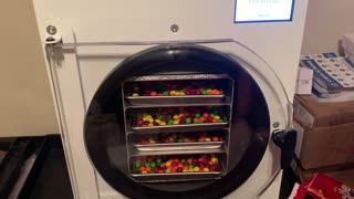 Freeze Dried Texas -What Happens When You Freeze Dry Skittles?