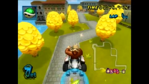 Mario Kart Wii Race110