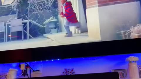 Dog's Amazing reaction to what he is watching on TV