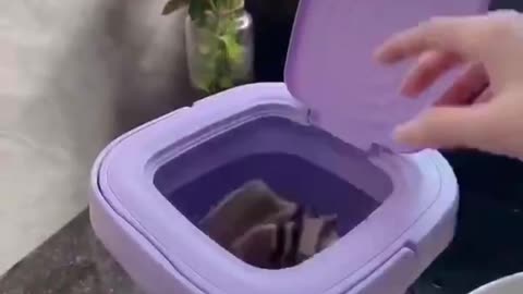Mini lavadora plegable de 9 litros
